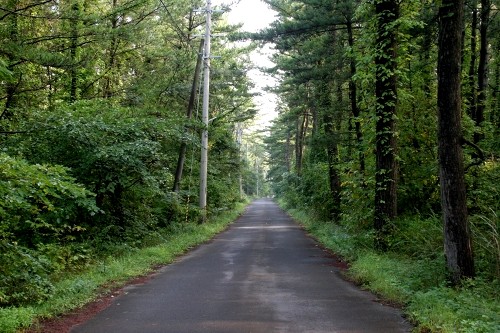 旧羽州浜街道 村東 宮海 酒田市 山形県