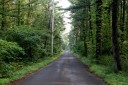 旧羽州浜街道 村東 宮海 酒田市 山形県