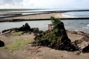 夫婦岩 西浜 吹浦 遊佐町 鮑海郡 山形県