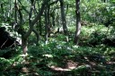 奥の細道旧道 山形県/秋田県県境付近