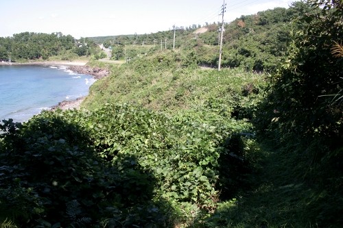 三崎山街道旧道 小砂川 象潟町 にかほ市 秋田県