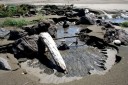清水場 小砂川 象潟町 にかほ市 秋田県