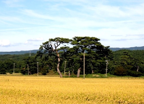 九十九島 象潟町 にかほ市 秋田県