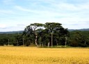 九十九島 象潟町 にかほ市 秋田県