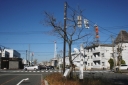 八橋一里塚跡 八橋本町１丁目 秋田市 秋田県