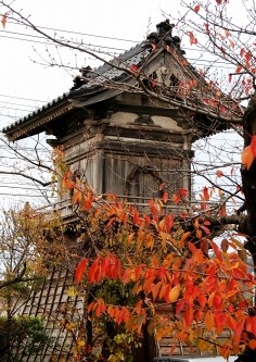 善應寺 古雪町 由利本荘市 秋田県