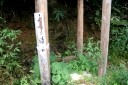 舟形の清水 舟形 舟形町 最上郡 山形県