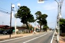 松並木 神町南１丁目 東根市 山形県