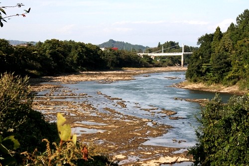 最上川 大槙 村山市 山形県