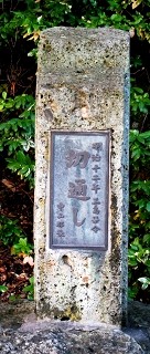 愛宕神社のケヤキ林 晦日町 楯岡 村山市 山形県