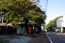 愛宕神社のケヤキ林 晦日町 楯岡 村山市 山形県