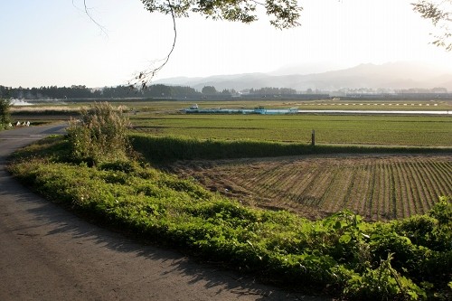 養泉寺下の水田風景 梺町2丁目 尾花沢市 山形県