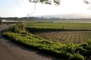 養泉寺下の水田風景 梺町２丁目 尾花沢市 山形県