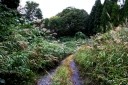 旧羽州街道（明治新道） 毒沢 尾花沢市 山形県
